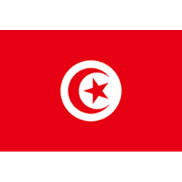 突尼斯U20